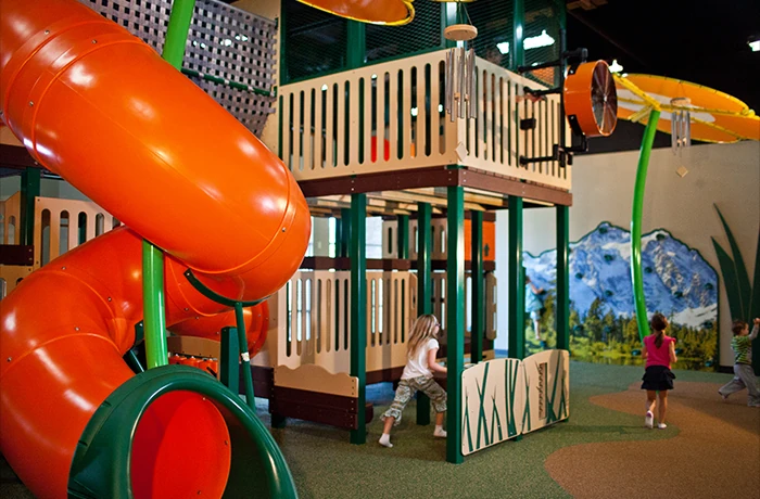 A Deep Dive into Knoxville Indoor Playground Solution